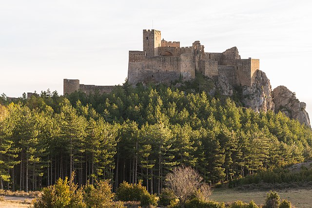 Castillo de Loare 